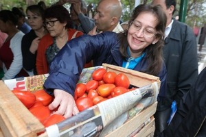Se disparan precios del tomate y el Gobierno parece que no se da cuenta, reclaman - Megacadena - Diario Digital