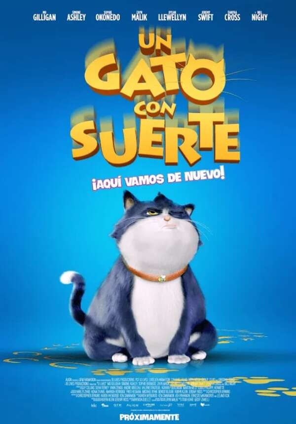 Un gato con suerte - Cine y TV - ABC Color