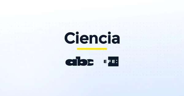 Fontcuberta, futura presidenta de la EPFL en busca de materiales alternativos al silicio - Ciencia - ABC Color