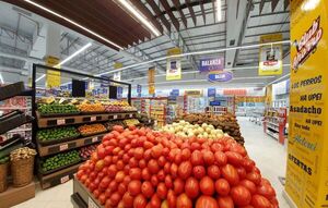 Senave libera permisos de importación de tomates - La Tribuna