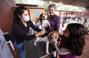 Vacunación y desparasitación gratuita para mascotas en Lambaré