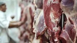 Paraguay se acerca a la apertura del mercado mexicano para exportar carne bovina