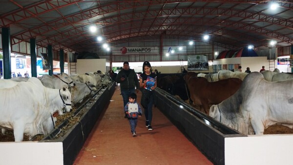 La Expo Santa Rita se encamina hacia su trigésima edición