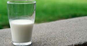 La Nación / ¿Cuáles son los alimentos que tienen más calcio que la leche?