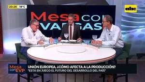Exigencias de la Unión Europea: ¿Cómo afectan al sector productivo? - ABC Noticias - ABC Color