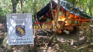 Antinarcóticos destruye 1.800 kilos de marihuana en inmueble rural de Fortuna Guazú - Radio Imperio 106.7 FM