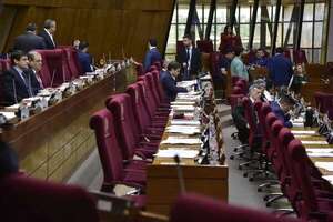 Temor de diputados por civiles armados en la sede legislativa - Política - ABC Color