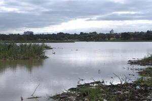 Bañado Tacumbú: avanzan acciones para gestión de residuos y recuperación de la laguna Yrupé - .::Agencia IP::.