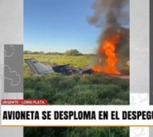 Avioneta se estrelló fatalmente en Loma Plata - Paraguay.com