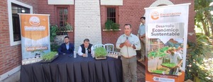 Municipio entrega semillas de frutillas a productores de Encarnación