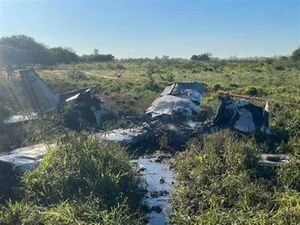 Dos muertos tras caída de avioneta y Tobías Vargas dice que es el propietario