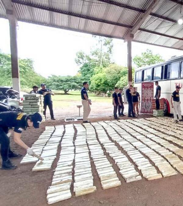 Iban a Florianópolis en un bus que "volaba": llevaba mil kilos de marihuana