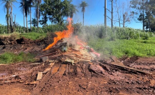 Incineran más de 600 kilos de marihuana por disposición judicial