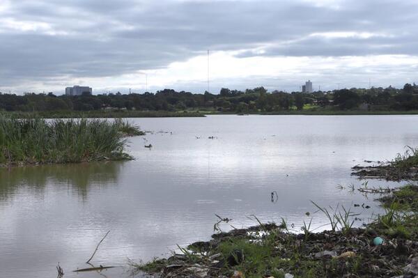 Avances en la recuperación ambiental de la laguna Yrupé en el Bañado Tacumbú - trece