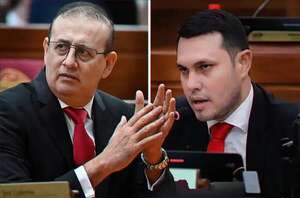 Erico y Rivas deben ser expulsados y senadores procesados, dice abogado - Política - ABC Color