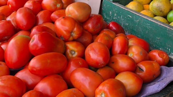 Tras liberar importación, precio del tomate se reduce levemente