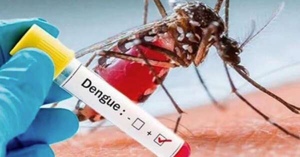 Diario HOY | Alarmante repunte de notificaciones de dengue en el país