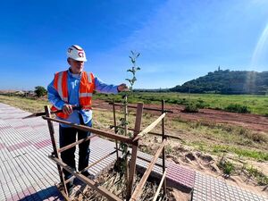 Plantatón en la Costanera Sur: sumarán unos 5.000 arbolitos - trece