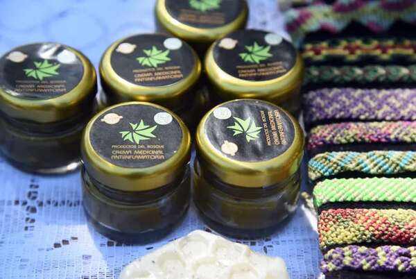 Marihuana: Feria en la Plaza Uruguaya como protesta para pedir despenalización del autocultivo - Nacionales - ABC Color