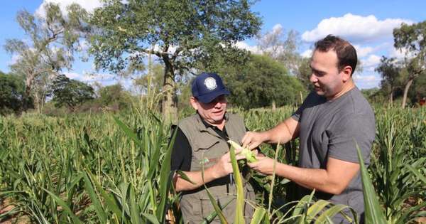 Diario HOY | Logran histórica recaudación por pagos de lotes de la reforma agraria