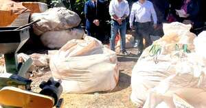 La Nación / Anulan 11.000 kg de semillas transgénicas