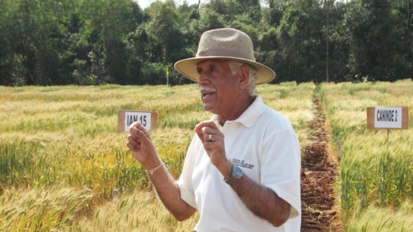 Experto que impulsó el trigo afirma que agricultura local es sustentable