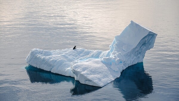 Científicos chinos descubren 46 lagos bajo el hielo de la Antártida