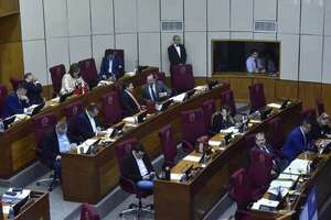 Senadores “violentaron el orden constitucional” y paralizaron procesos, sostienen abogados - Nacionales - ABC Color