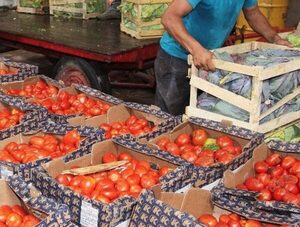 El precio del tomate experimenta un significativo aumento en lo que va de año · Radio Monumental 1080 AM