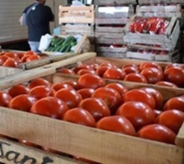 Galácticos precios del tomate se deben a la escasa oferta, dice Capasu - Paraguay.com