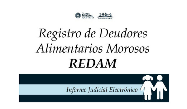 Desde este lunes, la Dirección de Registros Públicos exigirá Certificado de Redam