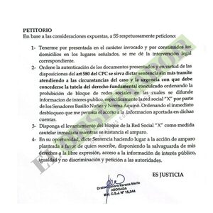 Abogada pide por amparo constitucional el desbloqueo de redes de parlamentarios