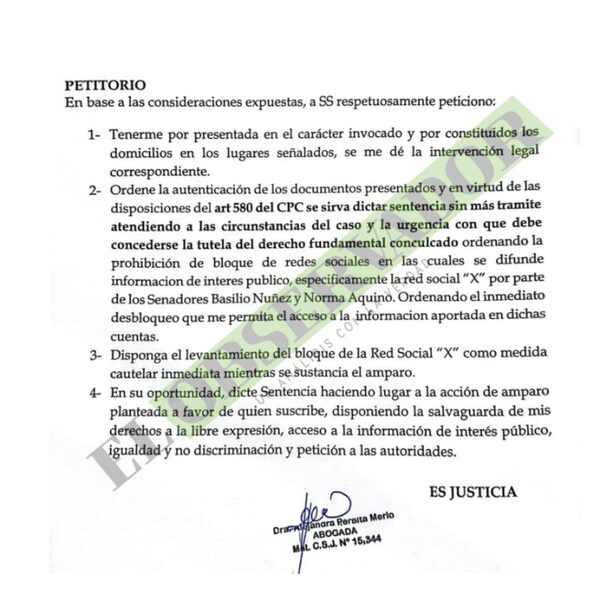 Abogada pide por amparo constitucional el desbloqueo de redes de parlamentarios