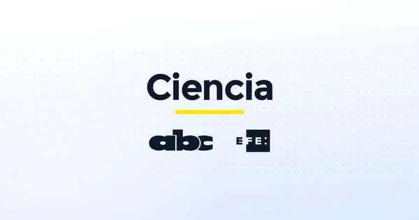 Ministra chilena de Ciencia busca en París inversiones europeas para centros de datos - Ciencia - ABC Color