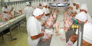 Exportadores de carne aviar se superan a sí mismos en el primer trimestre - La Tribuna