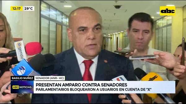 Video: presentan amparo contra senadores - ABC Noticias - ABC Color