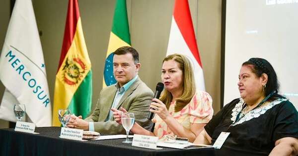 La Nación / Miembros del Mercosur analizan acciones contra el dengue y arbovirosis