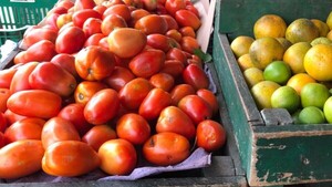 Precios de hortalizas siguen altos, aunque el tomate tuvo leve baja