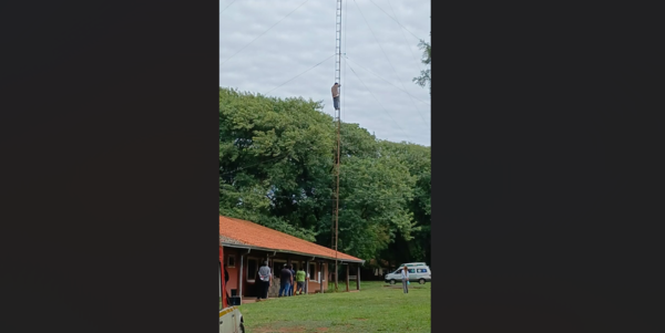 Amenazó con lanzarse de una antena por ayuda para sus mascotas enfermas - ADN Digital