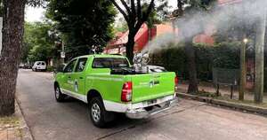 La Nación / Argentina supera 333 mil casos y 238 fallecidos por dengue