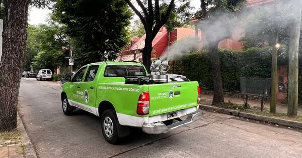 La Nación / Argentina supera 333 mil casos y 238 fallecidos por dengue