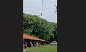 Amenazó con lanzarse de una antena por ayuda para sus mascotas enfermas en Asunción – Prensa 5