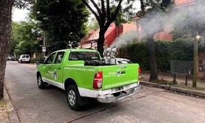 Argentina supera 333.000 casos y 238 fallecidos por dengue – Prensa 5