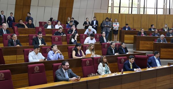 Complicidad y confusión: el debate sobre la criptominería en el Congreso - La Tribuna