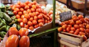 La Nación / Precio de tomates se reducirá con próxima cosecha, dice el MAG