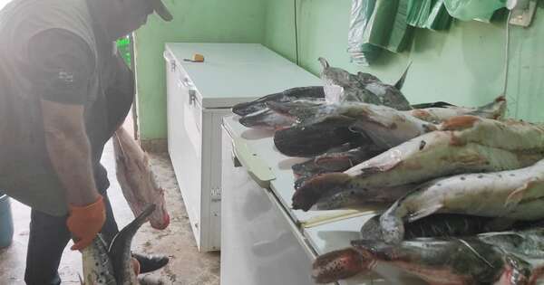 Diario HOY | Intervienen supermercados y comercios en Capiatá por vender pescados sin permiso