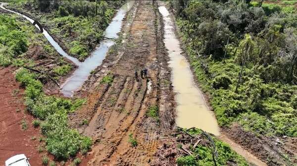 Suspenden audiencia por presunto delito ambiental en Itapúa - Nacionales - ABC Color