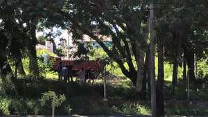 “Bosque de San Vicente”: Municipalidad de Asunción exige a empresa que plante árboles y revitalice plaza  - Nacionales - ABC Color