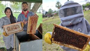 Miel del Chaco: la apicultura puede ser una opción rentable y complementaria para diversificar producción