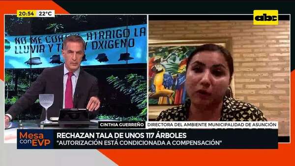 barrio San Vicente: vecinos luchan por frenar la tala de decenas de árboles  - Mesa de Periodistas - ABC Color